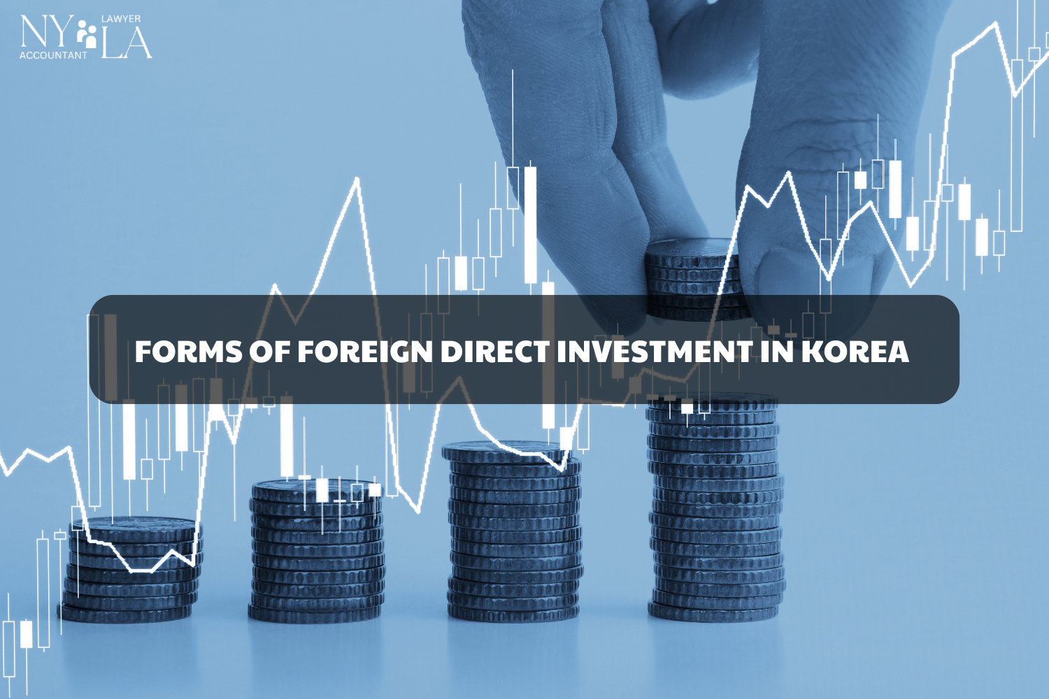 FORMS OF FOREIGN DIRECT INVESTMENT IN KOREA