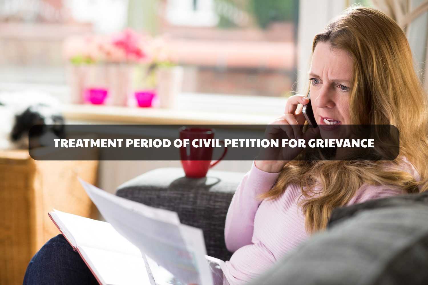 civil petition for grievance